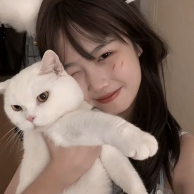 狗万manbet手机app下载