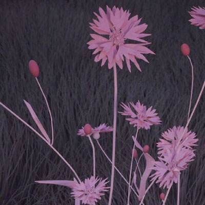 AG官方登陆入口