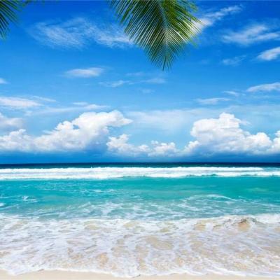 pg游戏官方网站